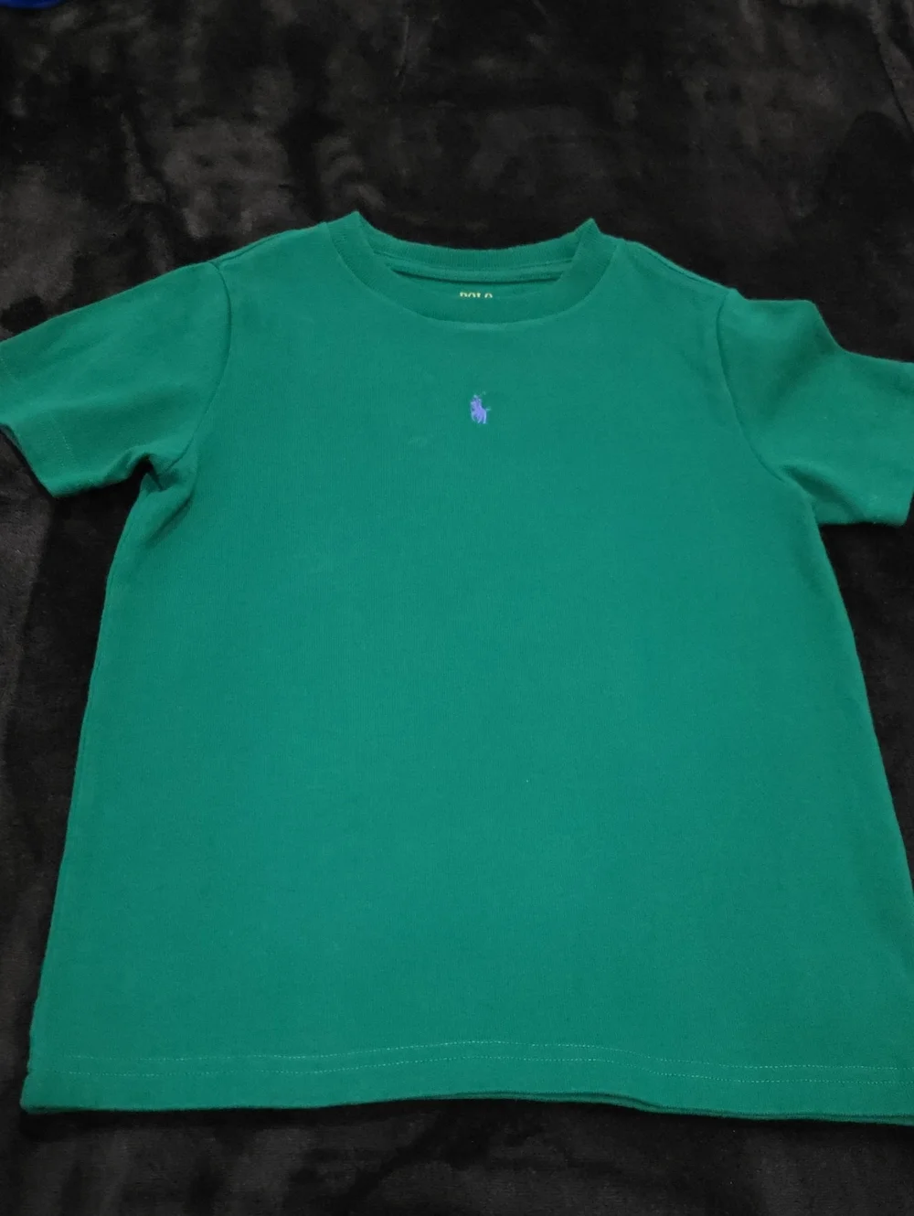 Ralph Lauren Emerald Green Crewneck Tee with Purple Pony - Kids